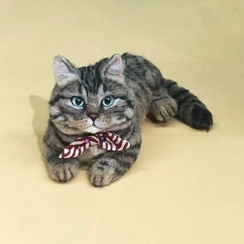 【受注作製】羊毛フェルト、うちの子、猫ぬいぐるみ、フェルト猫、ペットの肖像画、犬猫人形、トイプードル、ペットロス、うちのこ記念日の画像