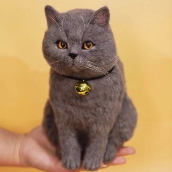 【受注作製】羊毛フェルト、うちの子、猫ぬいぐるみ、フェルト猫、ペットの肖像画、犬猫人形、トイプードル、ペットロス、うちのこ記念日の画像