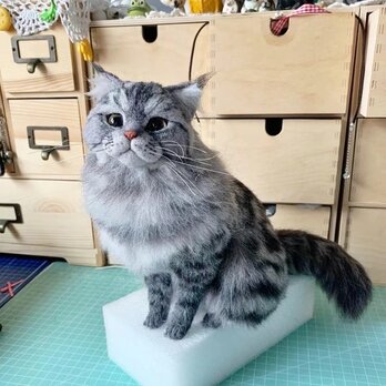 【受注作製】羊毛フェルト、うちの子、猫ぬいぐるみ、フェルト猫、ペットの肖像画、犬猫人形、トイプードル、ペットロス、うちのこ記念日の画像