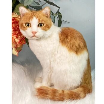 【受注作製】羊毛フェルト、うちの子、猫ぬいぐるみ、フェルト猫、ペットの肖像画、犬猫人形、トイプードル、ペットロス、うちのこ記念日の画像
