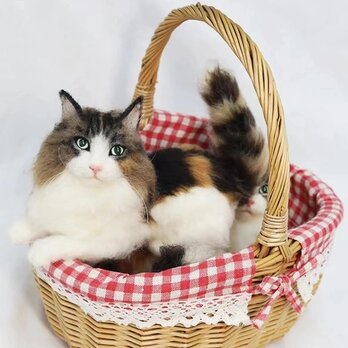 【受注作製】羊毛フェルト、うちの子、猫ぬいぐるみ、フェルト猫、ペットの肖像画、犬猫人形、トイプードル、ペットロス、うちのこ記念日の画像