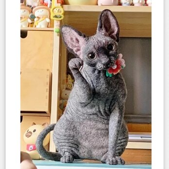 【受注作製】羊毛フェルト、うちの子、猫ぬいぐるみ、フェルト猫、ペットの肖像画、犬猫人形、トイプードル、ペットロス、うちのこ記念日の画像