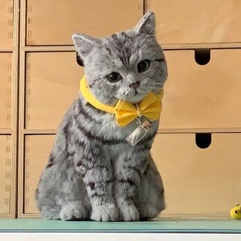 【受注作製】羊毛フェルト、うちの子、猫ぬいぐるみ、フェルト猫、ペットの肖像画、犬猫人形、トイプードル、ペットロス、うちのこ記念日の画像