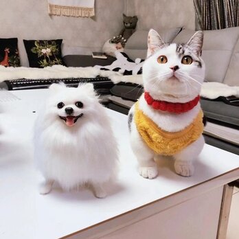 【受注作製】羊毛フェルト、うちの子、猫ぬいぐるみ、フェルト猫、ペットの肖像画、犬猫人形、トイプードル、ペットロス、うちのこ記念日の画像