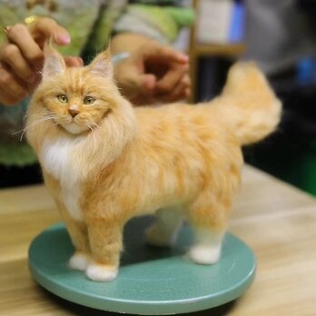 【受注作製】羊毛フェルト、うちの子、猫ぬいぐるみ、フェルト猫、ペットの肖像画、犬猫人形、トイプードル、ペットロス、うちのこ記念日の画像