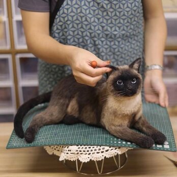 【受注作製】羊毛フェルト、うちの子、猫ぬいぐるみ、フェルト猫、ペットの肖像画、犬猫人形、トイプードル、ペットロス、うちのこ記念日の画像