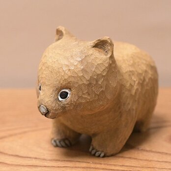 ウォンバットの画像