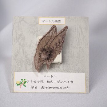 ハーブ染めピンバッジ☆マートル染めの画像