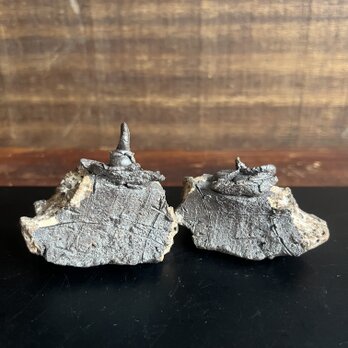 雛　No.67  焼締&泥彩釉　miniの画像
