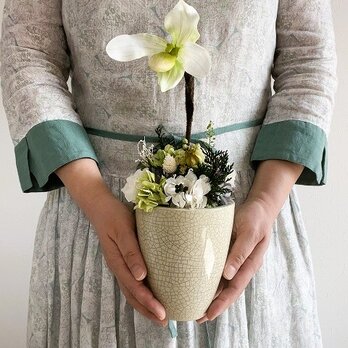 【Paphiopedilum / パフィオペディルム】　Vase  　shiroの画像