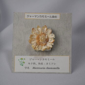ハーブ染めピンバッジ☆カモミール染めの画像