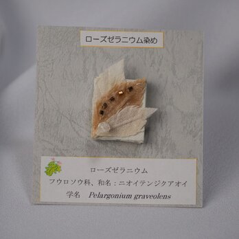 ハーブ染めピンバッジ☆ローズゼラニウム染めの画像