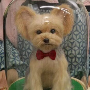 【受注作製】羊毛フェルト、うちの子、犬ぬいぐるみ、フェルト犬、ペットの肖像画、犬猫人形、トイプードル、ペットロス、うちのこ記念日の画像