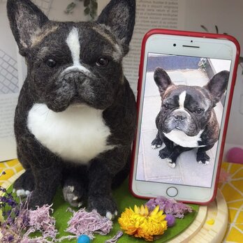 【受注作製】羊毛フェルト、うちの子、犬ぬいぐるみ、フェルト犬、ペットの肖像画、犬猫人形、トイプードル、ペットロス、うちのこ記念日の画像