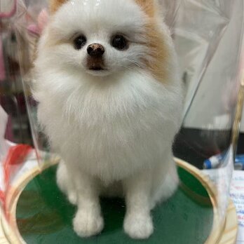 【受注作製】羊毛フェルト、うちの子、犬ぬいぐるみ、フェルト犬、ペットの肖像画、犬猫人形、トイプードル、ペットロス、うちのこ記念日の画像