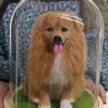 【受注作製】羊毛フェルト、うちの子、犬ぬいぐるみ、フェルト犬、ペットの肖像画、犬猫人形、トイプードル、ペットロス、うちのこ記念日の画像