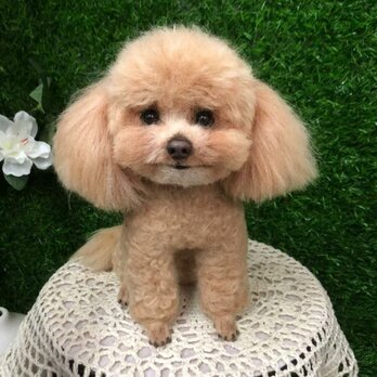 【受注作製】羊毛フェルト、うちの子、犬ぬいぐるみ、フェルト犬、ペットの肖像画、犬猫人形、トイプードル、ペットロス、うちのこ記念日の画像