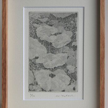 蕗（ふき)・2011/ 銅版画 (額あり）の画像