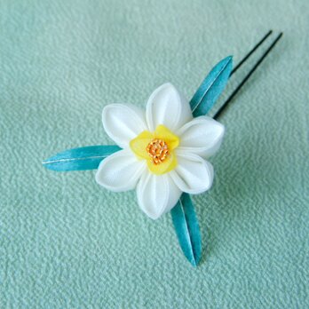 花かんざし水仙（人形用）の画像