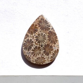 フォッシルコーラル[225] 25x18mm 13Cts　天然石 ルース／カボションの画像