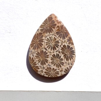 フォッシルコーラル[226] 25x18mm 14Cts　天然石 ルース／カボションの画像