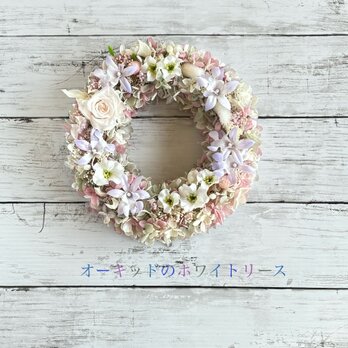 春満開！オーキッドのホワイトリースの画像