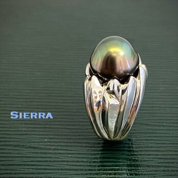 SIERRA（シエラ）の画像