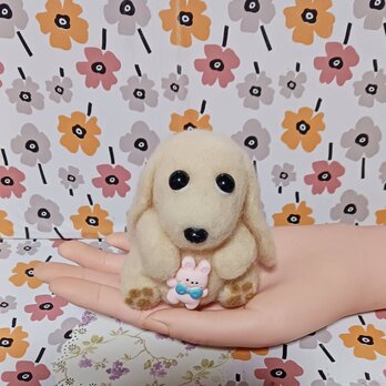 うさぎを抱いたクリーム色の可愛いダックスちゃんの画像