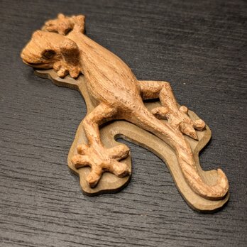 ニホンヤモリ(雌)の画像