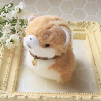 【再販】ちいさなぬいぐるみ柴犬*茶色の画像