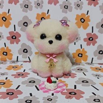 ピンクに染められた　オムツカットの小さなマルチーズちゃん　羊毛の画像