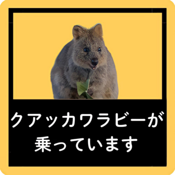 クアッカワラビーが乗っていますの画像