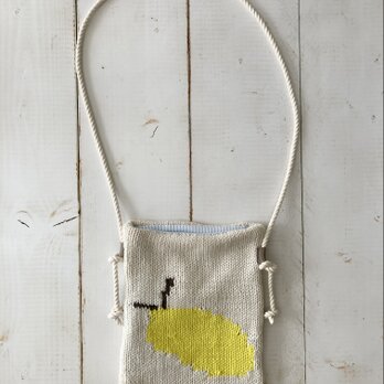 Citrus Crossbody Bagの画像