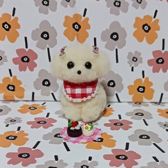 小さな可愛いマルチーズ　羊毛　ケーキ付き  　　今だけ値下げの画像