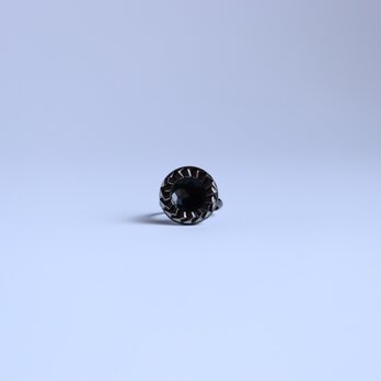 【指輪】光の導く方への画像