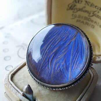 アンティーク　モルフォ蝶のブローチ　藤色/Blue系（約35㎜）SILVER製の画像