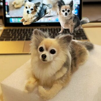 【受注作製】羊毛フェルト、うちの子、犬ぬいぐるみ、フェルト犬、ペットの肖像画、犬猫人形、トイプードル、ペットロス、うちのこ記念日の画像