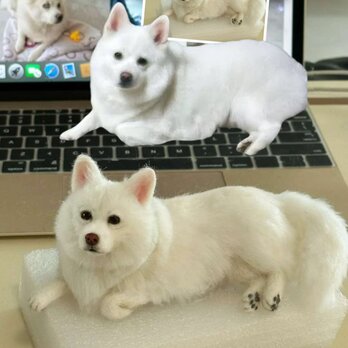 【受注作製】羊毛フェルト、うちの子、犬ぬいぐるみ、フェルト犬、ペットの肖像画、犬猫人形、トイプードル、ペットロス、うちのこ記念日の画像