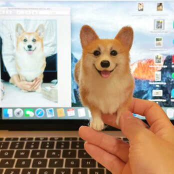【受注作製】羊毛フェルト、うちの子、犬ぬいぐるみ、フェルト犬、ペットの肖像画、犬猫人形、トイプードル、ペットロス、うちのこ記念日の画像