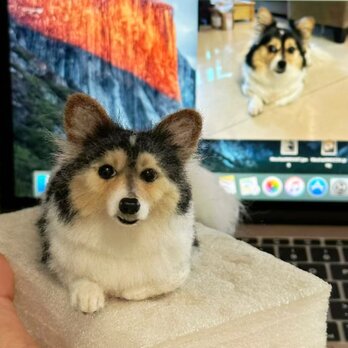 【受注作製】羊毛フェルト、うちの子、犬ぬいぐるみ、フェルト犬、ペットの肖像画、犬猫人形、トイプードル、ペットロス、うちのこ記念日の画像