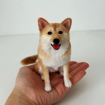 【受注作製】羊毛フェルト、うちの子、犬ぬいぐるみ、フェルト犬、ペットの肖像画、犬猫人形、トイプードル、ペットロス、うちのこ記念日の画像