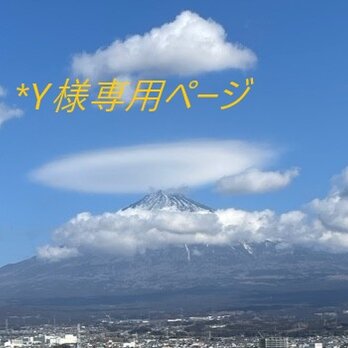 ＊Y様専用ページの画像