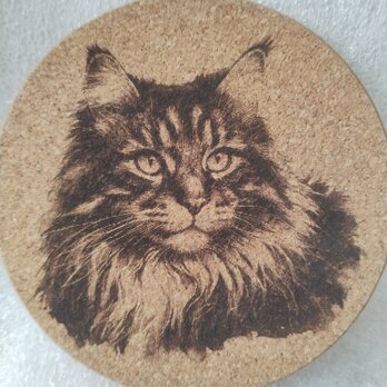 コースター　ノルウェージャン・フォレスト・キャットの画像