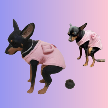 【受注作製】ペットギフト うちの子 写真入り 犬人形 フィギュア、名入れ 愛犬 肖像画 似顔絵❤ペットロス、誕生日、記念日の画像