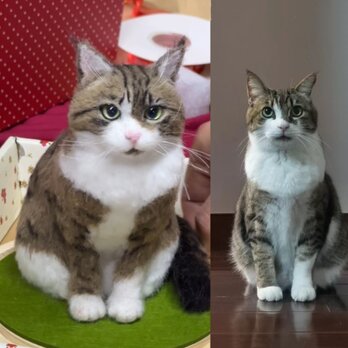 【受注作製】羊毛フェルト、うちの子、猫ぬいぐるみ、フェルト猫、ペットの肖像画、犬猫人形、トイプードル、ペットロス、うちのこ記念日の画像