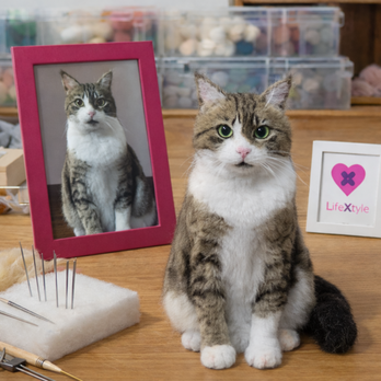 羊毛フェルト そっくり ペット オーダーメイド｜写真から作る ペットリアルぬいぐるみ｜愛犬 愛猫 うちの子 ロス 癒し グッズ