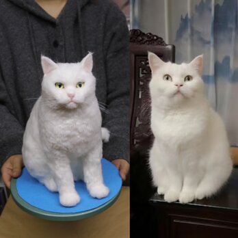 【受注作製】羊毛フェルト、うちの子、猫ぬいぐるみ、フェルト猫、ペットの肖像画、犬猫人形、トイプードル、ペットロス、うちのこ記念日の画像