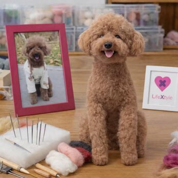 羊毛フェルト そっくり ペット オーダーメイド｜写真から作る ペットぬいぐるみ｜愛犬 愛猫 供養 遺骨を亡くした方への贈り物