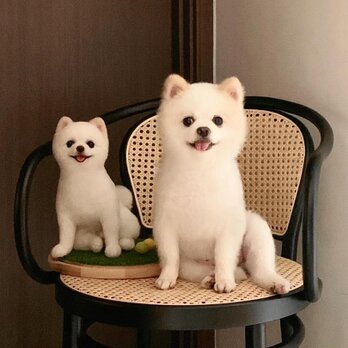 【受注作製】羊毛フェルト、うちの子、犬ぬいぐるみ、フェルト犬、ペットの肖像画、犬猫人形、トイプードル、ペットロス、うちのこ記念日の画像