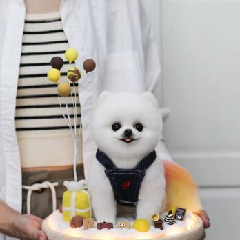 【受注作製】羊毛フェルト、うちの子、犬ぬいぐるみ、フェルト犬、ペットの肖像画、犬猫人形、トイプードル、ペットロス、うちのこ記念日の画像